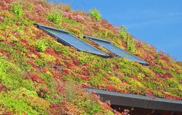 Lofthouse Gate living roof systems